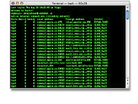 Billede af programmet Terminal